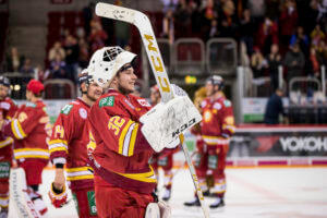 Düsseldorfer EG gegen Straubing Tigers am 19.01.2020