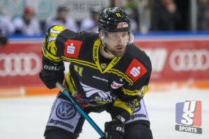 Krefeld Pinguine