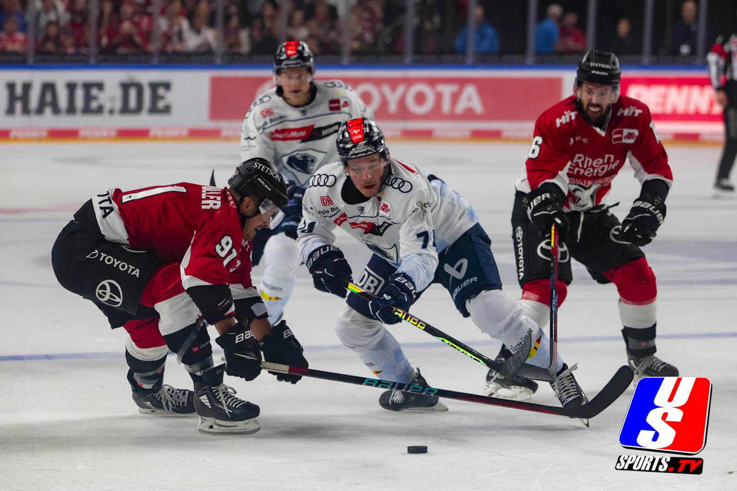 Kölner Haie - ERC Ingolstadt