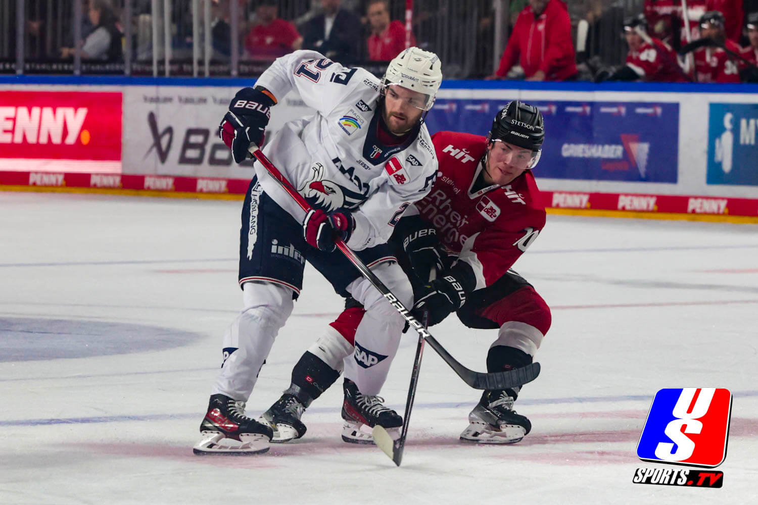 Kölner Haie gegen Adler Mannheim am 30.09.2023