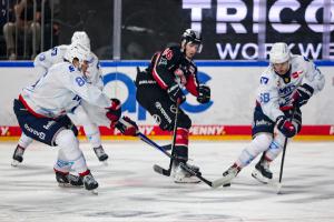 SES KOLMAN20240922-12