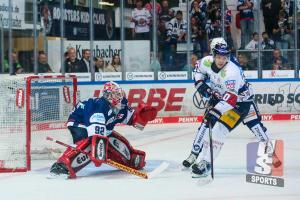 Der Band heisst Horst