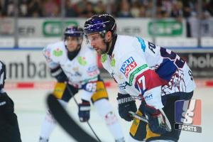 Der Band heisst Horst