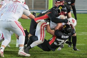 SES GERCAN20251116-44